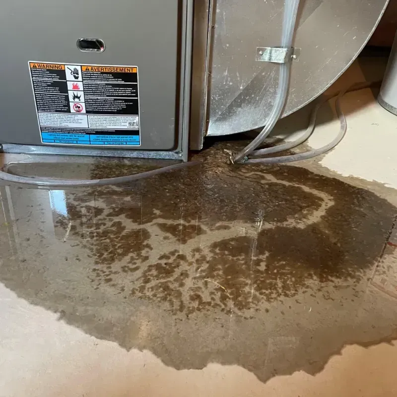 Appliance Leak Cleanup in Clark County, IL